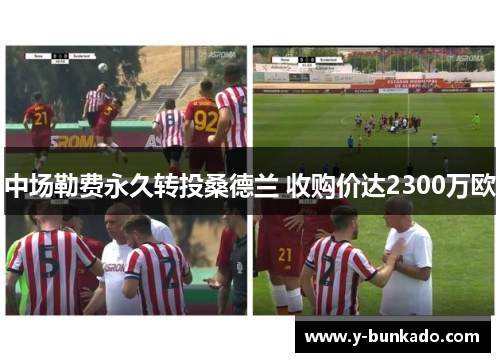 中场勒费永久转投桑德兰 收购价达2300万欧